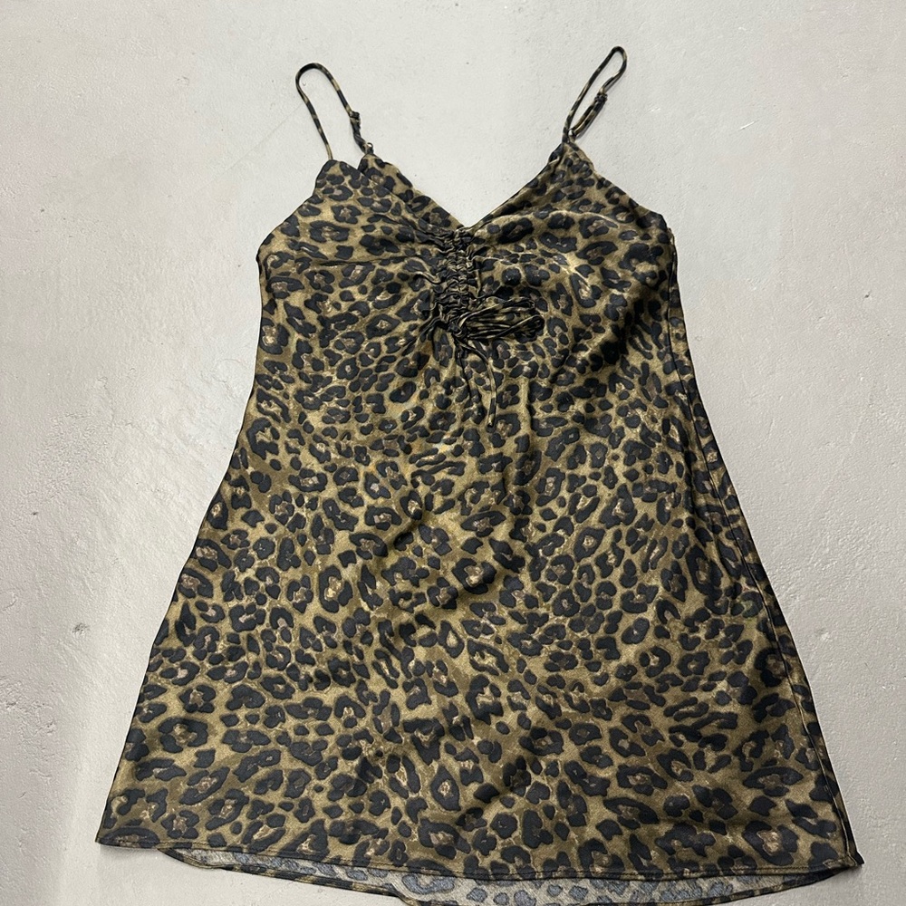 Zara Cheetah Print Satin Dress